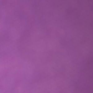 Meet your Posher, Lele